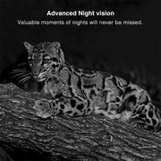 best night vision trail camera
