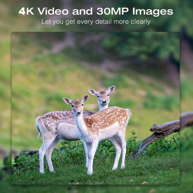 4K Sharper Video Capture Wildlife Camera with 30MP Clearer Photo